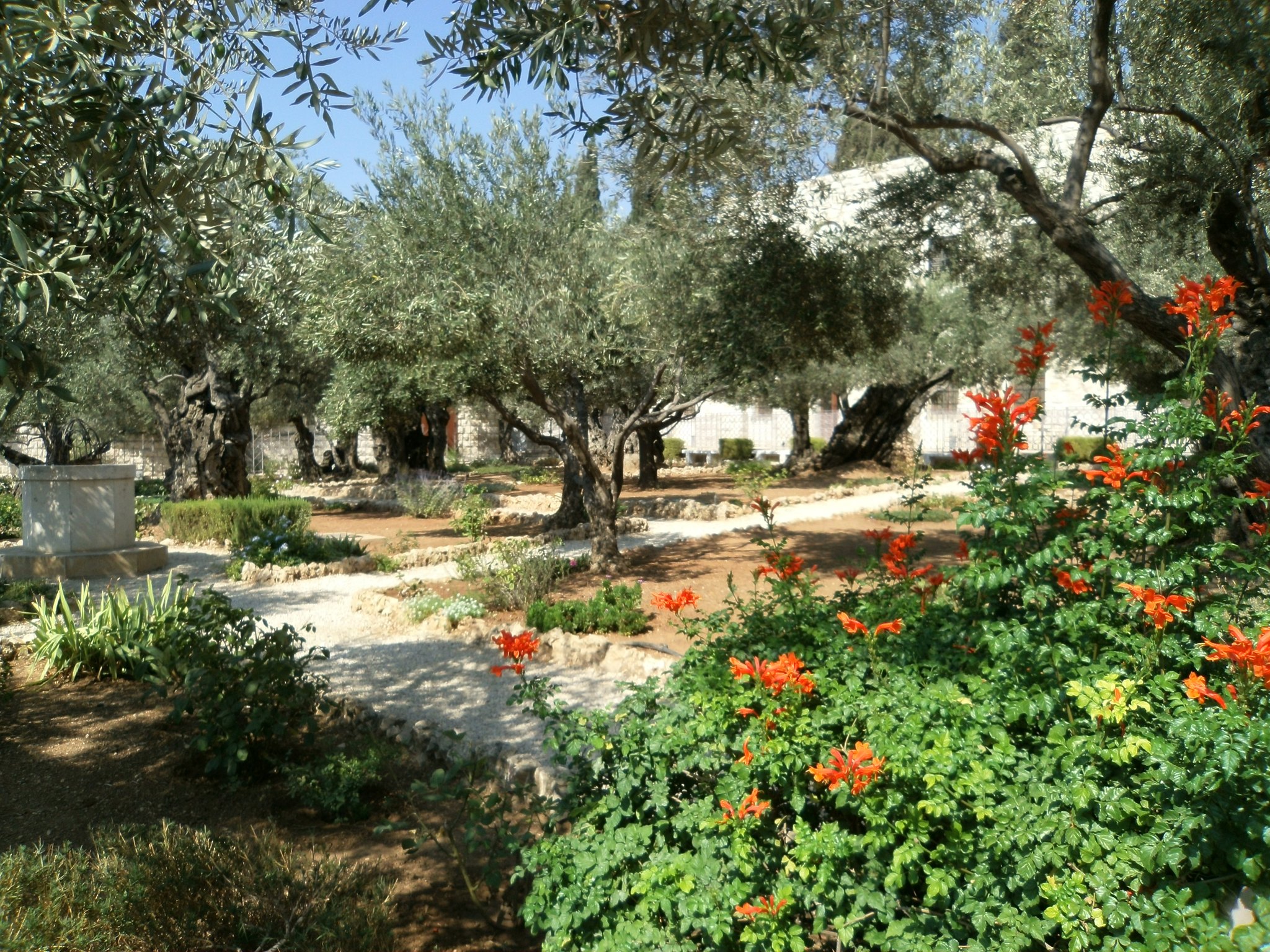 Garden of Gethsemane