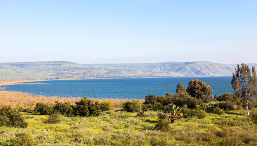 Sea Of Galilee Beach