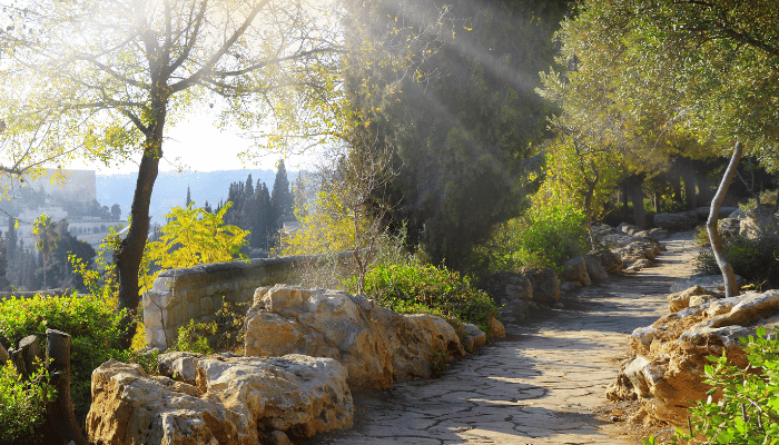 The Mount of Olives